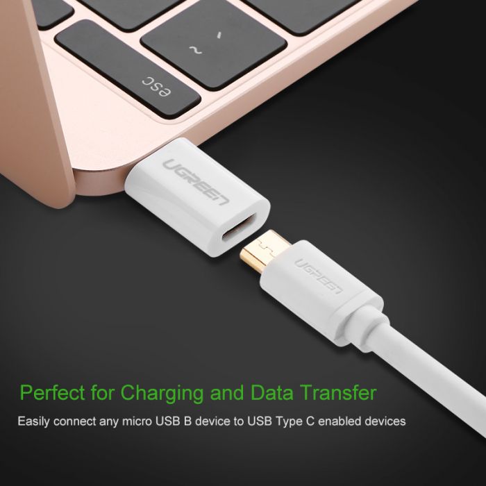 Ugreen US157 Micro Type-C to USB Converter 3.1 C OTG Adapter | GearVita