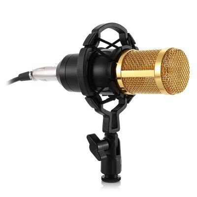 ZEEPIN BM-800 Audio Sound Recording Condenser Microphone with Shock Mount