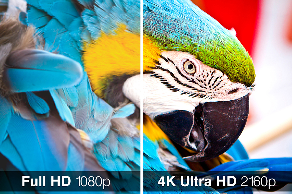 1080p vs 4k resolution