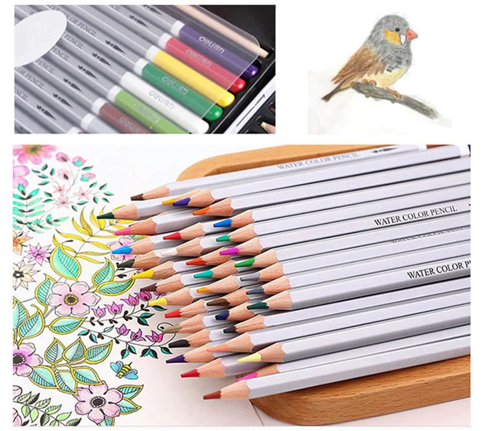 deli 36pcs water soluble color pencil 2019