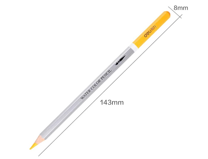 deli 36pcs color pencil