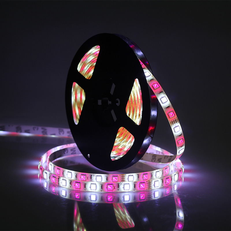 buy jiawen 5m 5050 rgbw led strip lights set