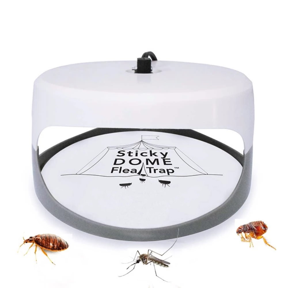 sk-111 insect killer lamp price