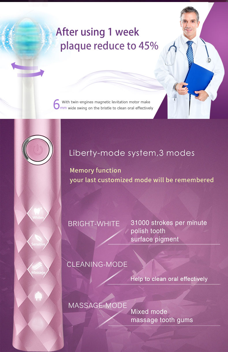 seago s1 electric toothbrush