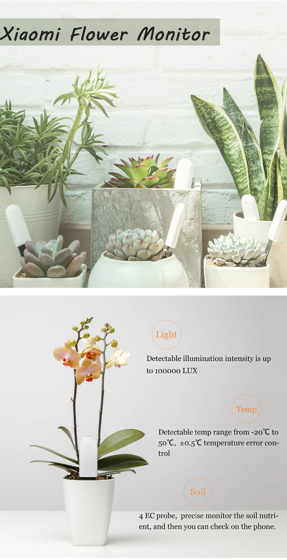 xiaomi flora 4 in 1 flower plant soil monitor