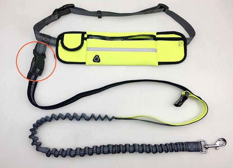 PUGGA Adjustable Nylon Dog Collar Leash with Waterproof Waist Bag
